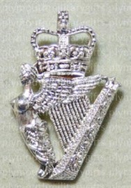 Royal Irish Regiment Lapel Pin